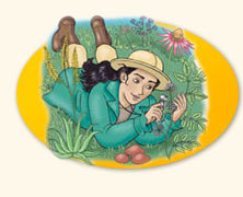 I cinque sensi e le erbe aromatiche